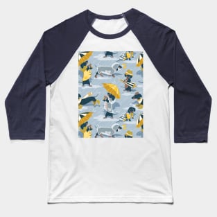 Ready For a Rainy Walk // pattern // pastel blue background dachshunds dogs with yellow and transparent rain coats Baseball T-Shirt